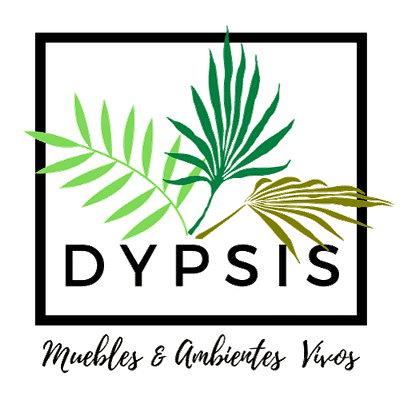 Logo dypsis-conEslogan -transparente